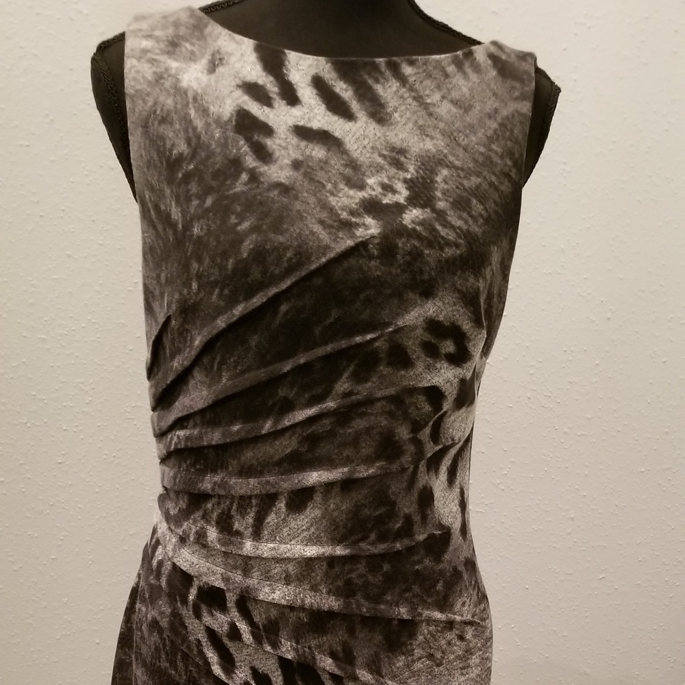 Tiger Print Dress